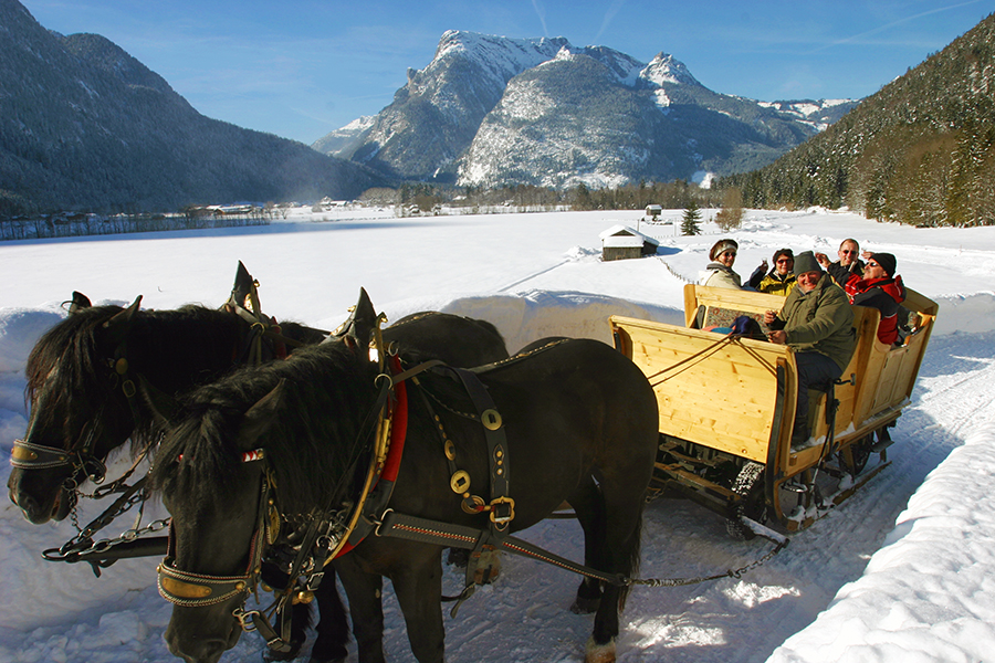 Pferdeschlittenfahrt