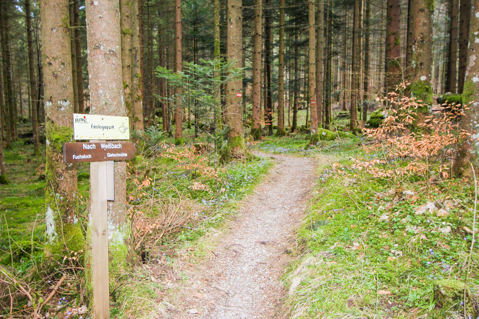 Wegweiser zum Geologiepark