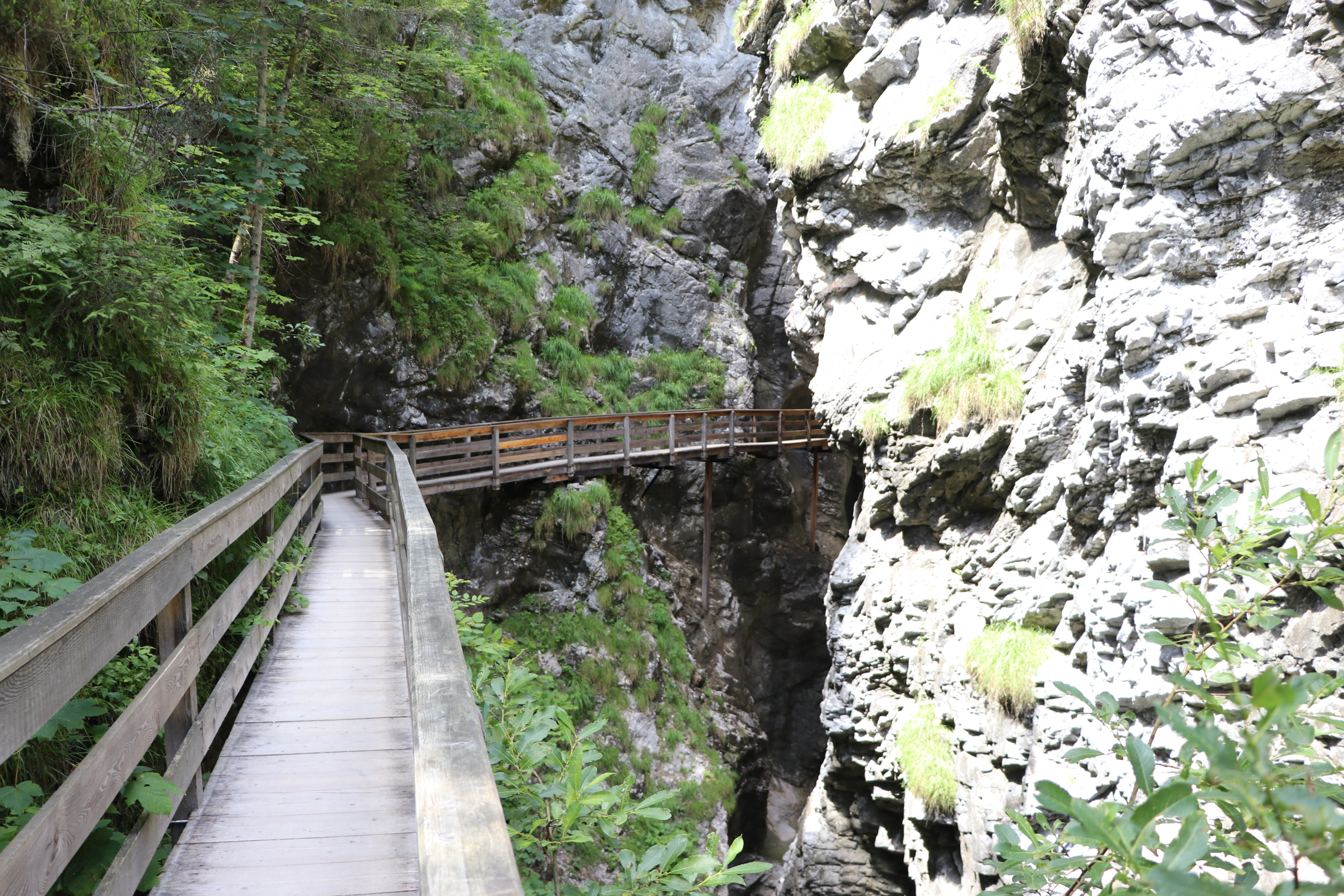 Vorderkaserklamm
